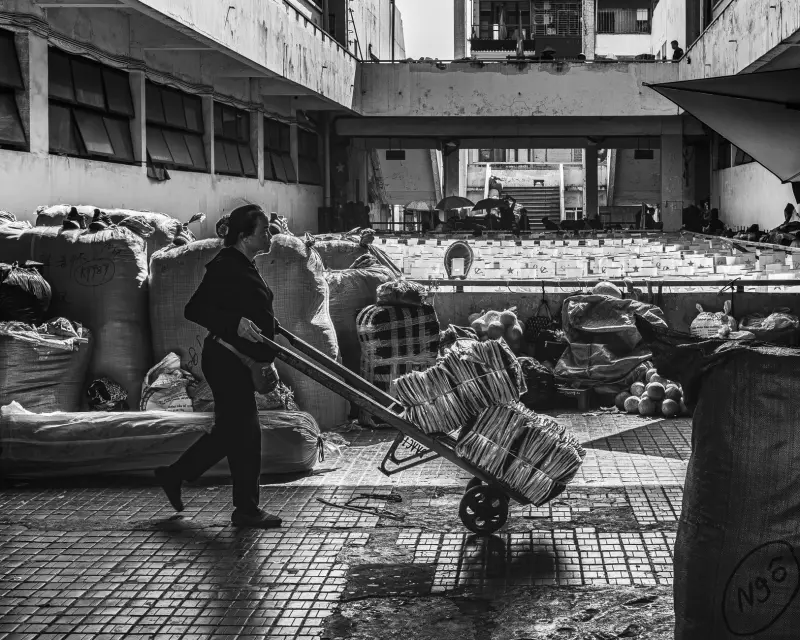 政企单位清洁用品批量采购方案设计与成本控制要点