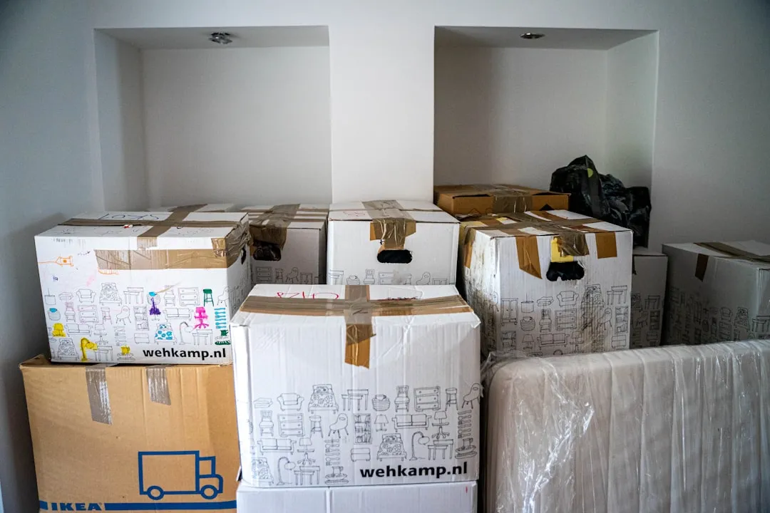 环保塑料制品在家居清洁用品中的技术应用与趋势展望